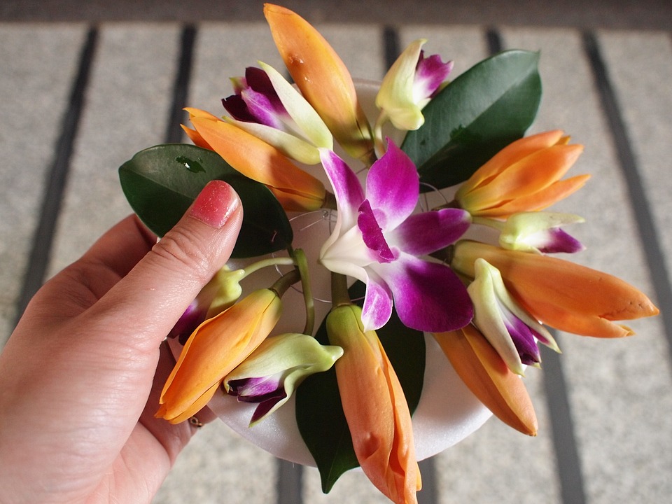 【祝】日本切花輸出入協会と台湾区花卉輸出同業公会が2月13日に姉妹会を締結